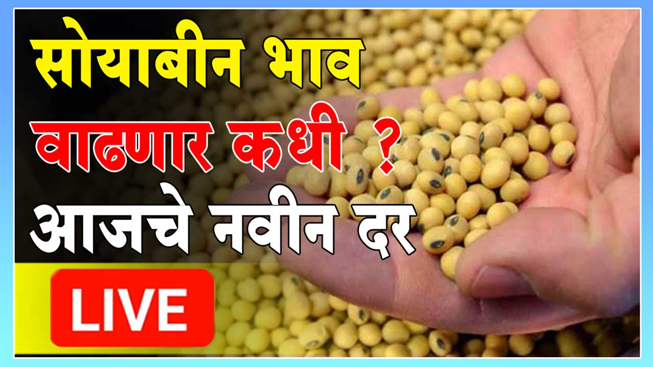 Soyabean rate