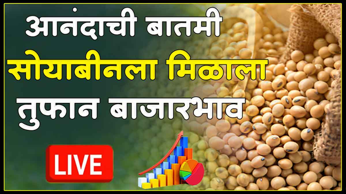 Soyabean rate today